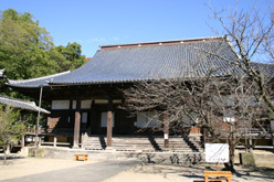 大本山　善導寺