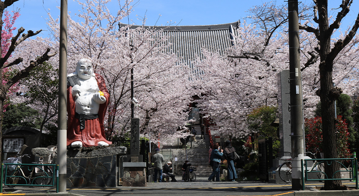 浄心寺