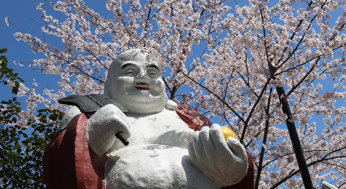 浄心寺