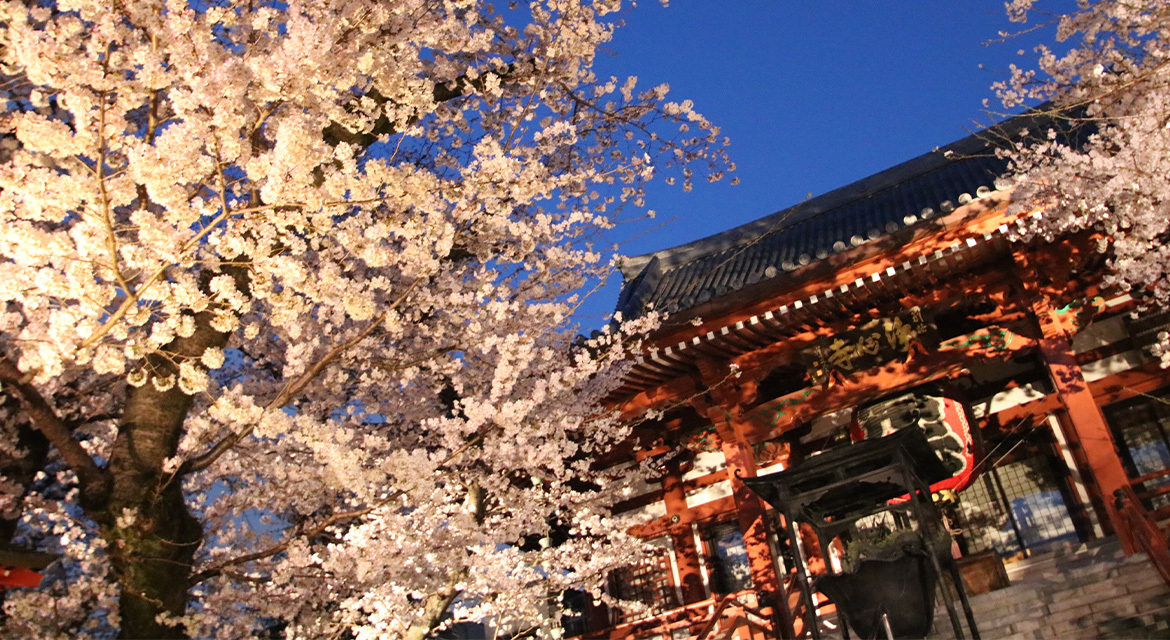 浄心寺